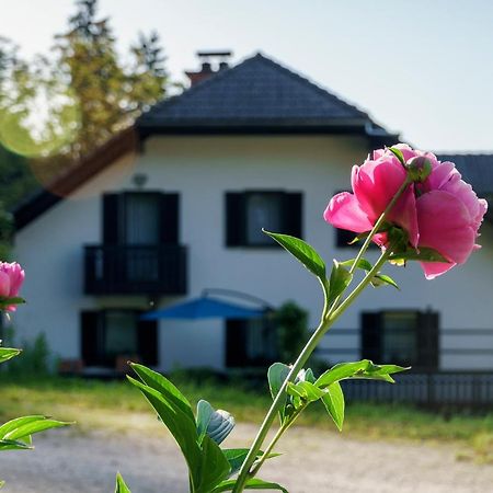 Apartments Zakrasnik Škofja Loka Buitenkant foto