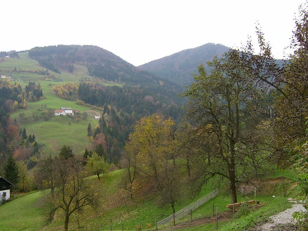 Apartments Zakrasnik Škofja Loka Buitenkant foto